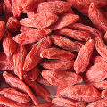 Les baies de Goji séchées rouges biologiques (Wolfberry) The King of Ningxia